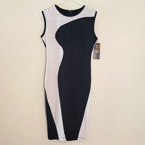 BRAND NEW WITH TAGS Blue & white Dress Midi Length